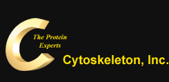 Cytoskeleton