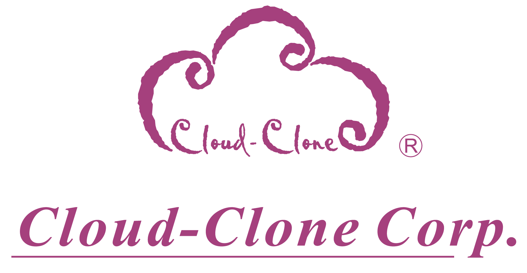 Cloud Clone